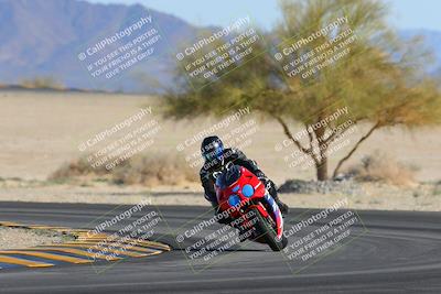 media/Feb-04-2023-SoCal Trackdays (Sat) [[8a776bf2c3]]/Turn 4 (Tree of Life 2pm)/